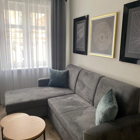 Noclegi W Centrum Brodnicy Бродница Екстериор снимка